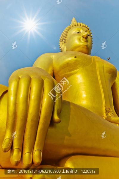 最大Golden,Buddha之手