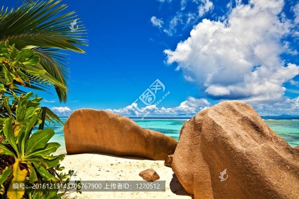 海景觀