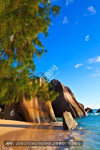 海景觀