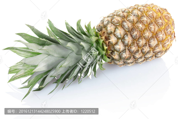 菠蘿果實(shí)