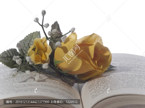 書上的玫瑰
