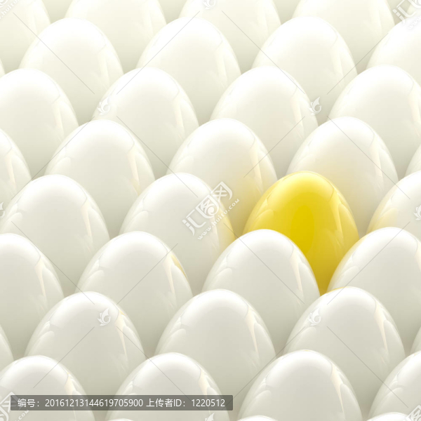 白蛋中的金蛋