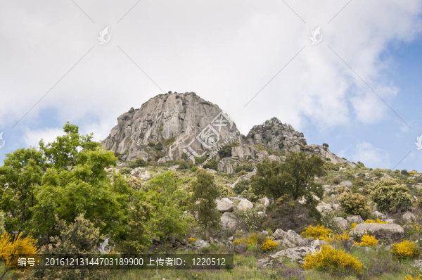 Pico,de,la蜂蜜（蜂蜜峰）