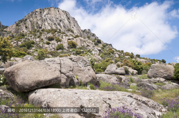 Pico,de,la蜂蜜（蜂蜜峰）