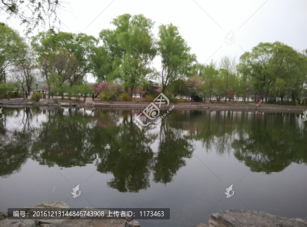 玉淵潭公園