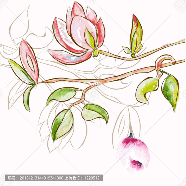 裝飾春天的花朵