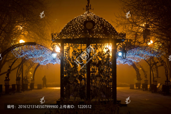 城市公園在夜間霧