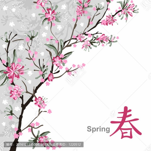 櫻花綻放
