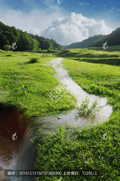 春天的風(fēng)景