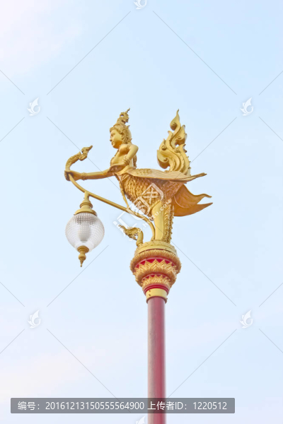 金色的光桿