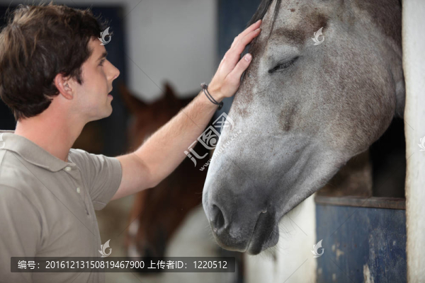 有馬的人