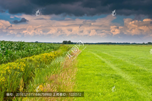 荷蘭農(nóng)業(yè)景觀上的戲劇性天空