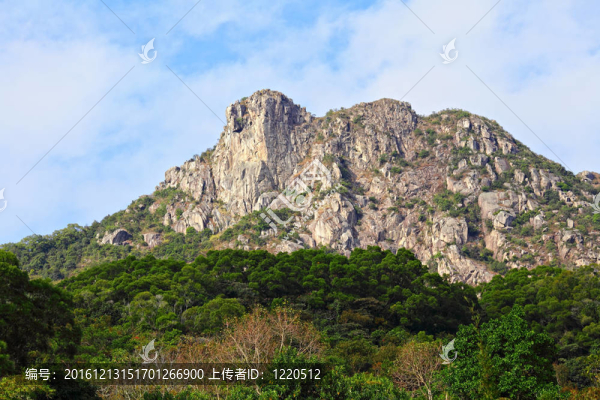 獅子；獅子山在香港；香港的一個精神的象征