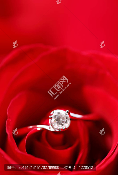 玫瑰花環(huán)
