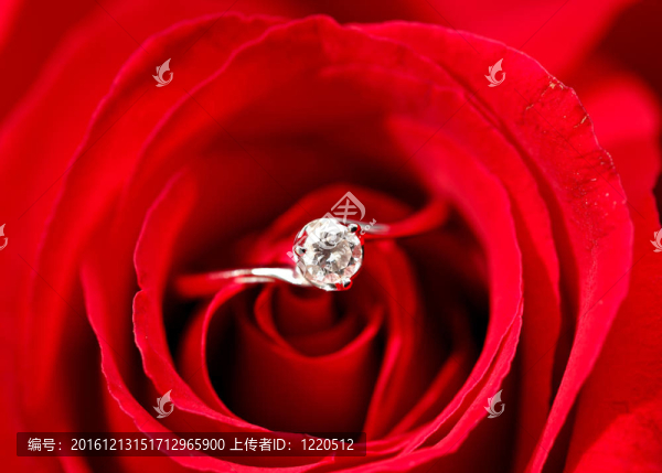 玫瑰花環(huán)