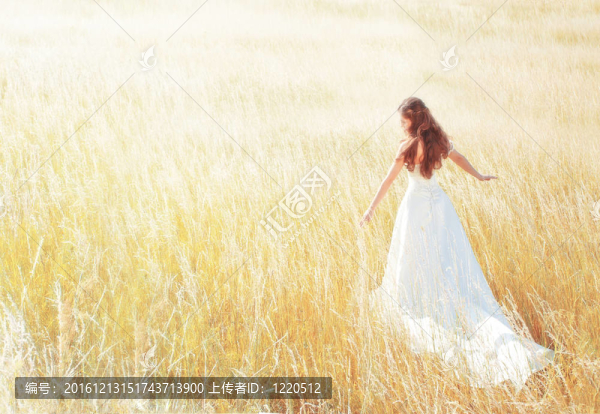 在夏日的草地上散步的女人觸摸草地