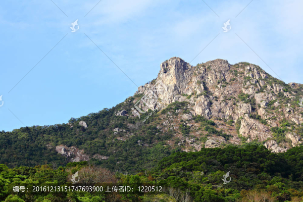 獅子；獅子山在香港；香港的一個精神的象征