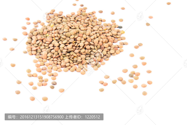 扁豆