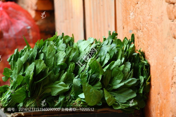 蔬菜市場(chǎng)上的各種蔬菜。印度
