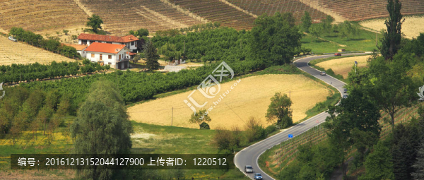 在Piedmont孤獨(dú)的軟管和道路；意大利。