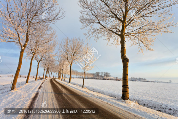 白冬景觀之路
