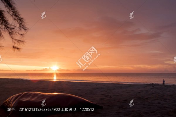海灘上的落日