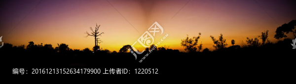 全景