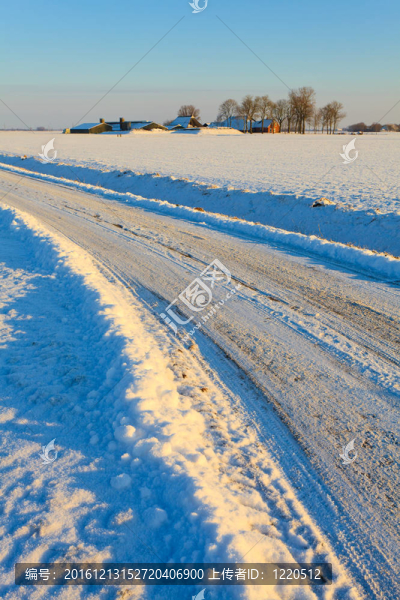 雪在冬季景觀覆蓋的道路