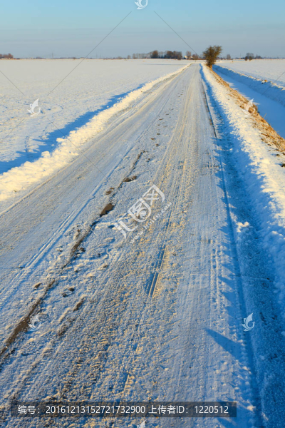 雪在冬季景觀覆蓋的道路