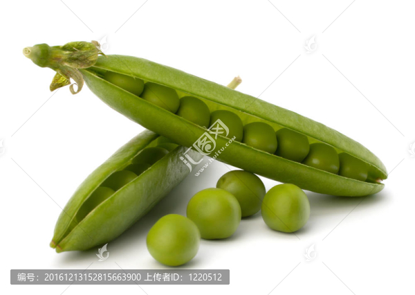 新鮮青豆莢