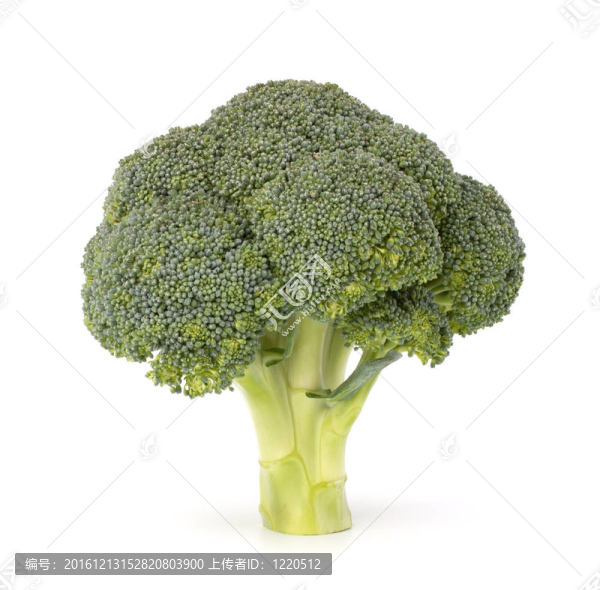 西蘭花蔬菜