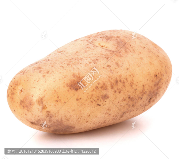 新土豆