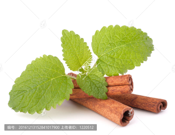 肉桂枝和新鮮薄荷葉