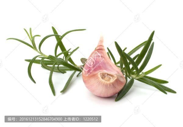 蒜香迷迭香葉