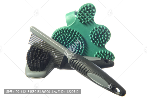 美容用品的狗