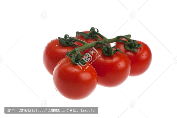 新鮮的西紅柿。
