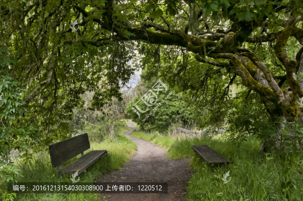 自然步道與長凳