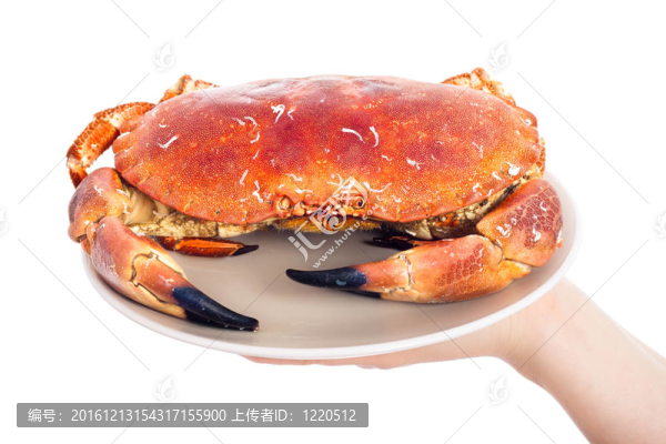 整蟹