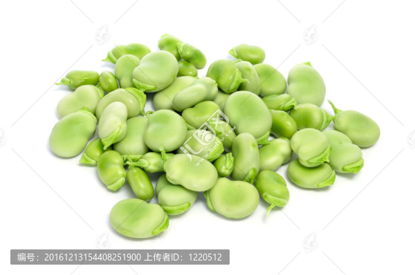 蠶豆