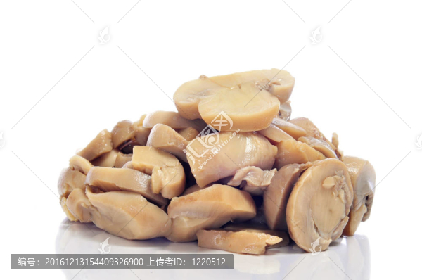 蘑菇