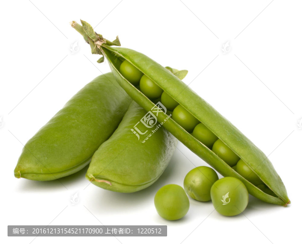 新鮮青豆莢