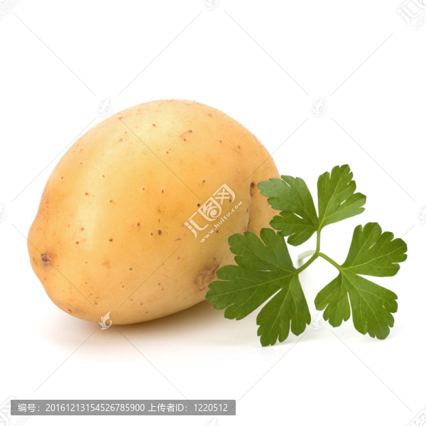 新土豆綠歐芹