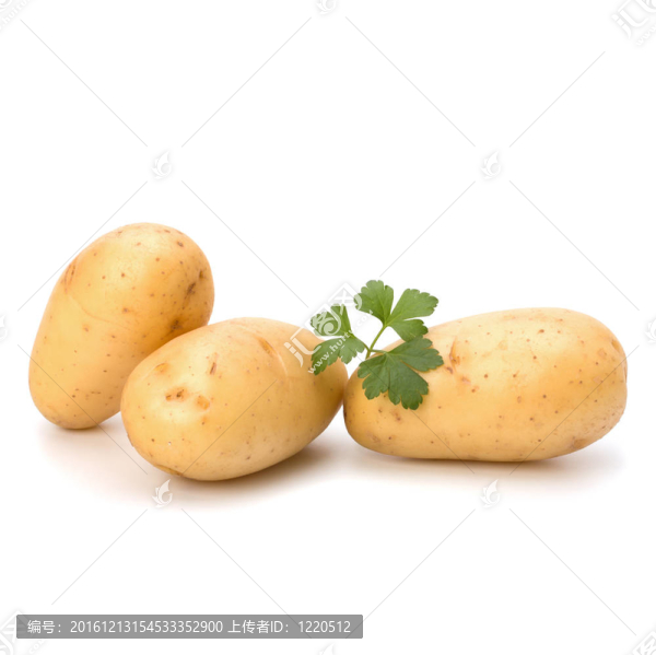 新土豆綠歐芹