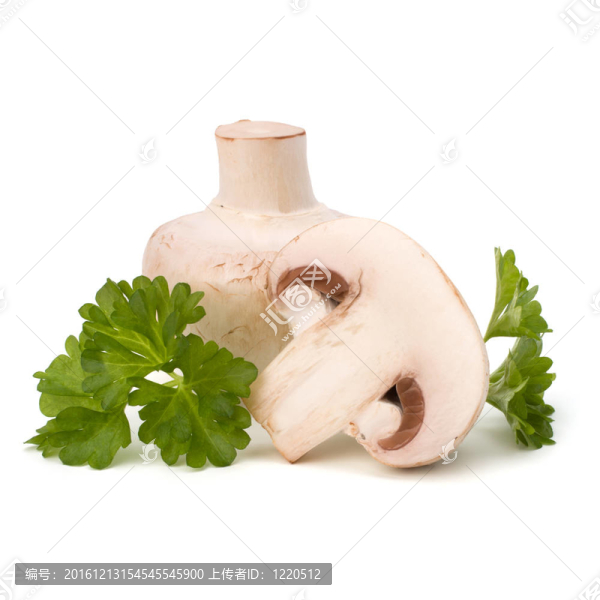 香菇蘑菇和新鮮歐芹