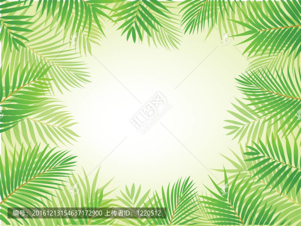 棕櫚葉的背景