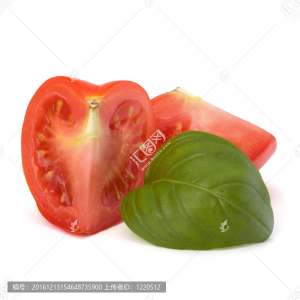 番茄蔬菜段和羅勒葉
