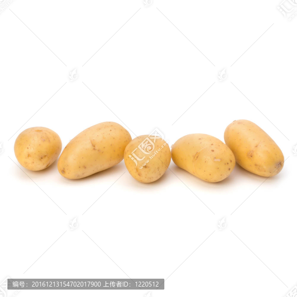 新土豆