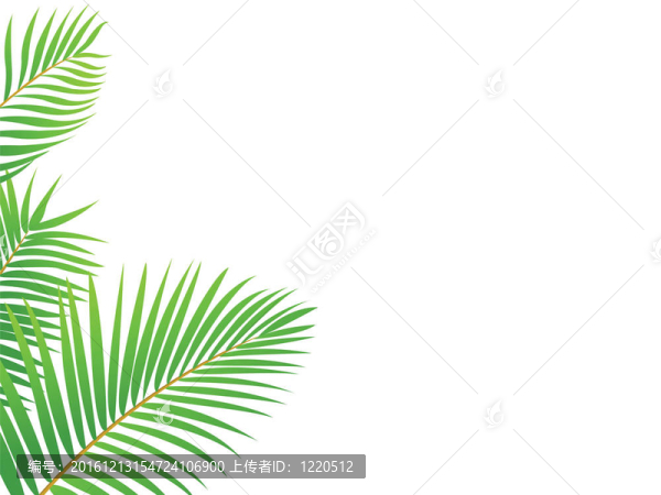 棕櫚樹(shù)背景