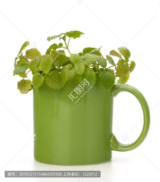 草藥薄荷茶