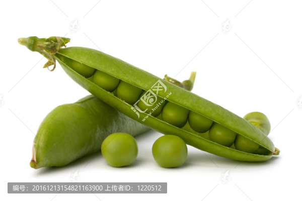 新鮮青豆莢